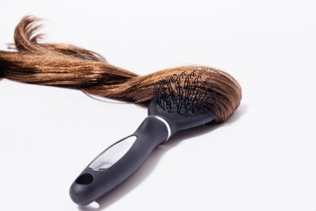 Top hairbrushes for the chilly season - Hairdressing Supplies