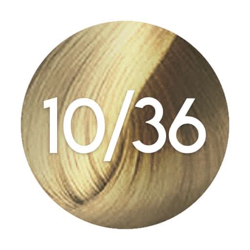 10/36 wella