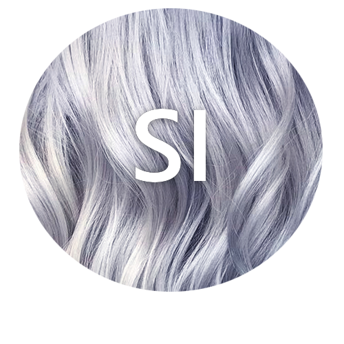 Silver SI hair colour swatch