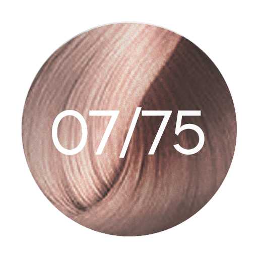 Wella Professionals Shinefinity Semi Permanent Hair Colour 60ml