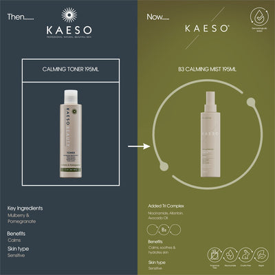 Kaeso B3 Calming Toner Mist 195ml