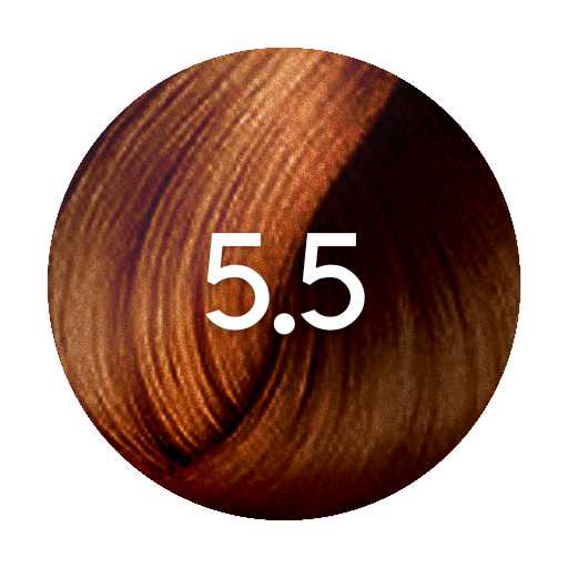 Schwarzkopf Igora Royal Permanent Hair Colour60ml