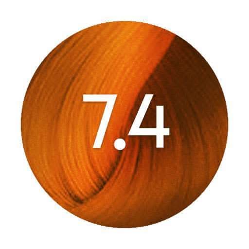 Renbow Colorissimo 7.4