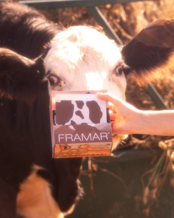 Framar YeeHaw Pop Ups 500 Sheets 5X11 - Hairdressing Supplies