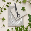 Leaf Razor Replacement Blade x10 - Hairdressing Supplies