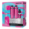 OSMO Blinding Shine Gift Pack - Hairdressing Supplies