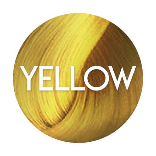 Renbow Colorissimo yellow