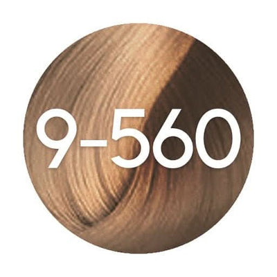 Schwarzkopf Igora Absolutes Permanent Hair Colour - 60ml - Hairdressing Supplies