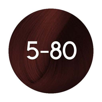 Schwarzkopf Igora Absolutes Permanent Hair Colour - 60ml - Hairdressing Supplies