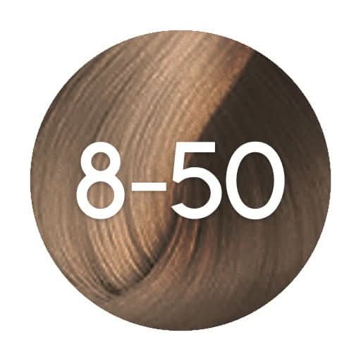 Schwarzkopf Igora Absolutes Permanent Hair Colour - 60ml - Hairdressing Supplies