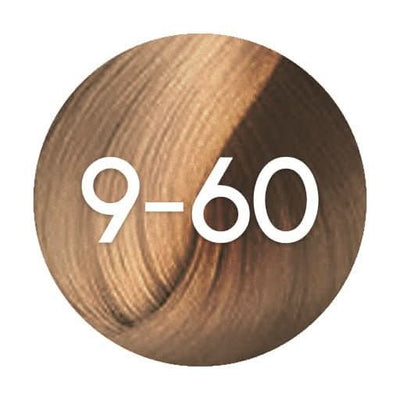 Schwarzkopf Igora Absolutes Permanent Hair Colour - 60ml - Hairdressing Supplies