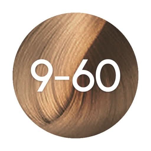 Schwarzkopf Igora Absolutes Permanent Hair Colour - 60ml - Hairdressing Supplies