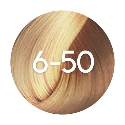 Schwarzkopf Igora Absolutes Permanent Hair Colour - 60ml - Hairdressing Supplies