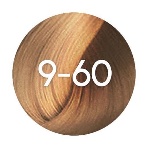 Schwarzkopf Igora Absolutes Permanent Hair Colour - 60ml - Hairdressing Supplies