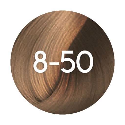 Schwarzkopf Igora Absolutes Permanent Hair Colour - 60ml - Hairdressing Supplies