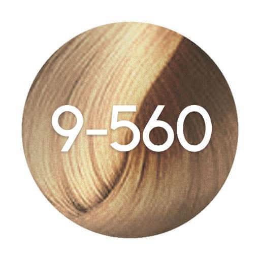 Schwarzkopf Igora Absolutes Permanent Hair Colour - 60ml - Hairdressing Supplies