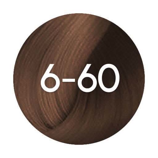 Schwarzkopf Igora Absolutes Permanent Hair Colour - 60ml - Hairdressing Supplies