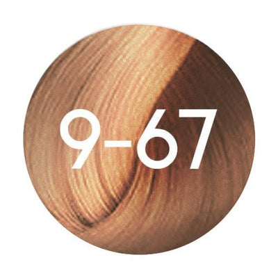 Schwarzkopf Igora Royal Permanent Hair Colour 60ml - Hairdressing Supplies
