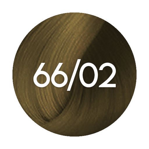 66/02 wella