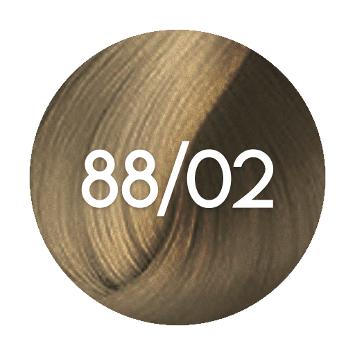88/02 wella