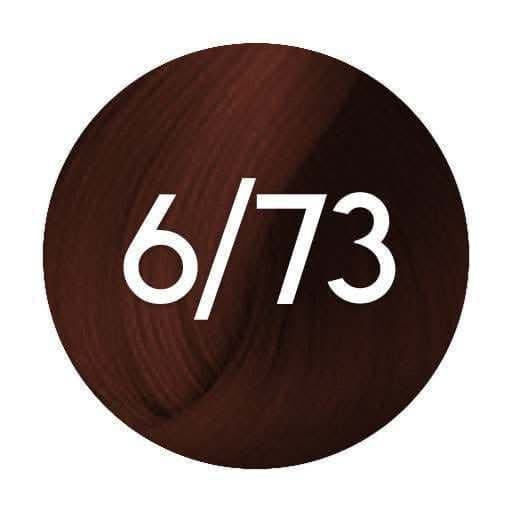 6 73 wella