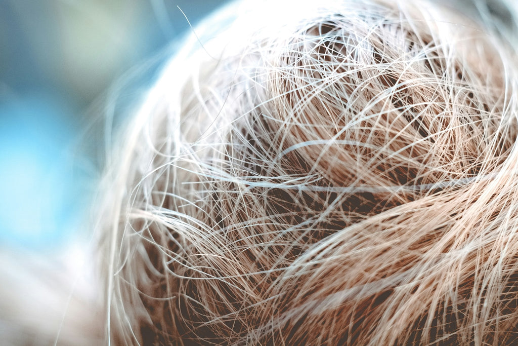 Scalp Revival: Boost Your Salon’s Expertise in Hair Health - Hairdressing Supplies