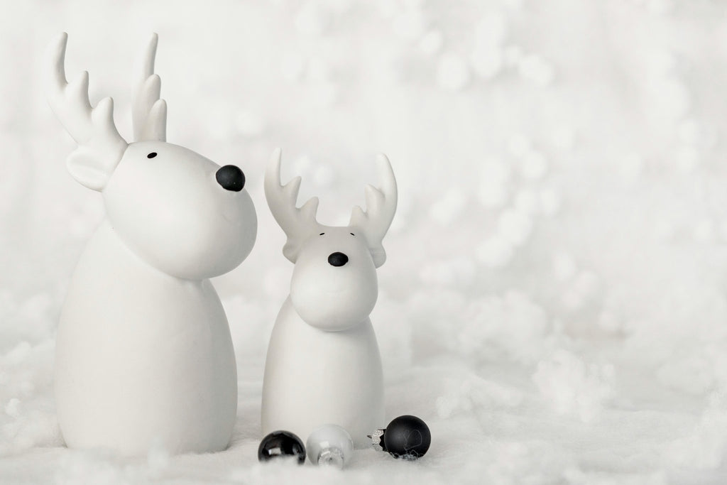 Sustainability Spotlight: Eco-Friendly Holiday Preparations - Hairdressing Supplies