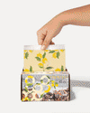 Framar Limoncello - 5x11 Pop Up Foil