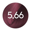 Renbow Colorissimo 5.66