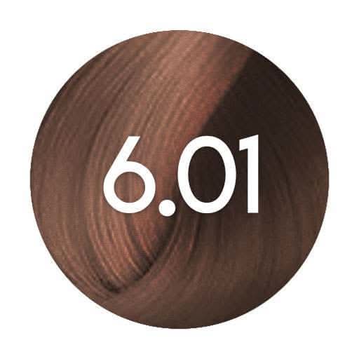 Renbow Colorissimo 6.01