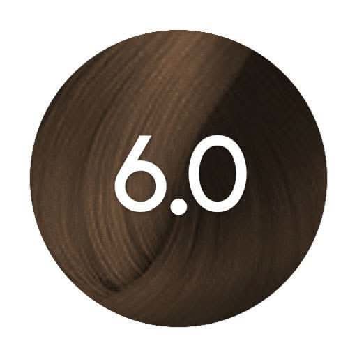 Renbow Colorissimo 6.0