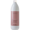 FarmaVita Amethyste Chroma Color Protective Shampoo 1000ml - Hairdressing Supplies