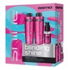 OSMO Blinding Shine Gift Pack - Hairdressing Supplies