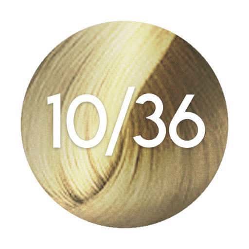 10/36 wella